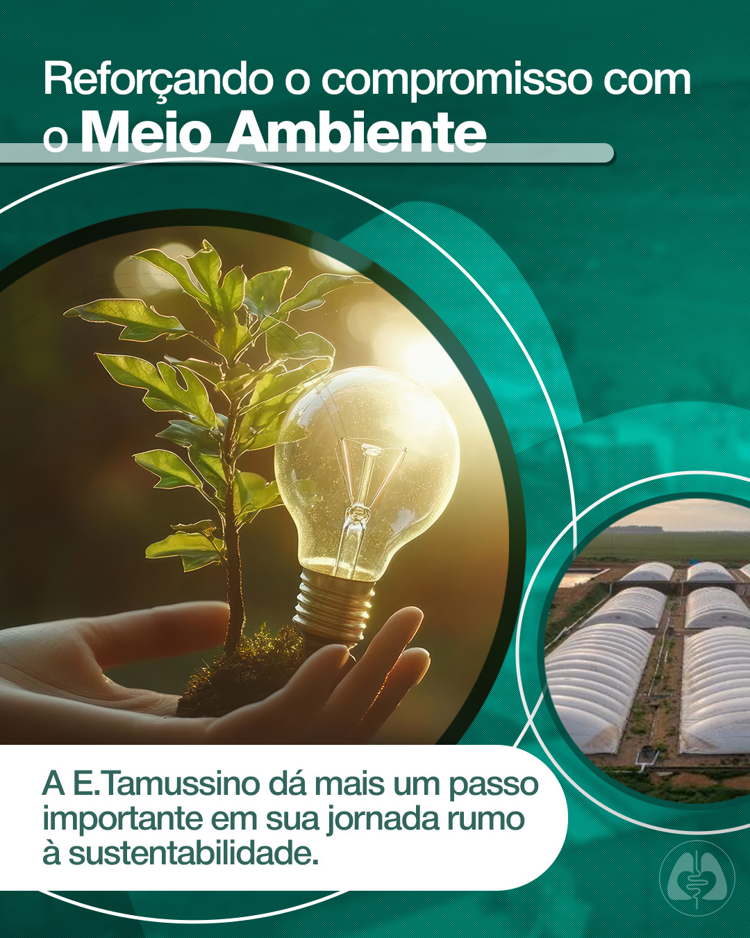 E.Tamussino amplia iniciativas sustentáveis e adere à energia renovável da Eva Energia