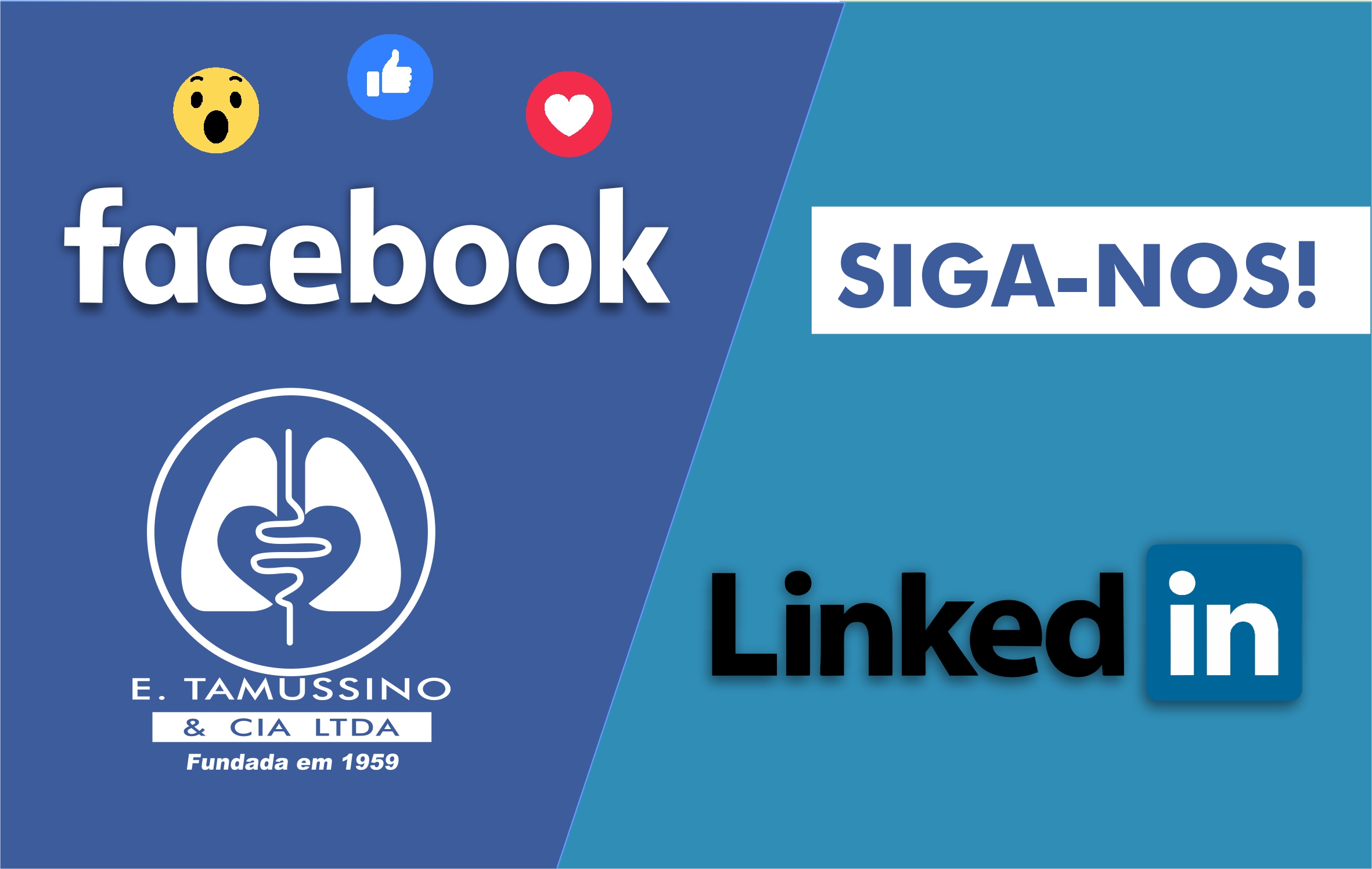 Siga nossas redes sociais e fique ligado em todas as novidades