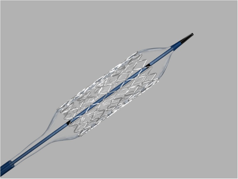 Stent expansível por balão Formula